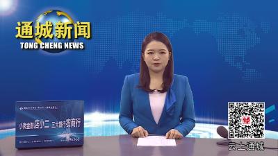 通城县领导调研2022年重点项目建设工作