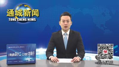 视频-我县收看收听全市安全生产工作视频会 