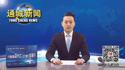 视频-通城县市场监管局：严防严控严管 筑牢疫情防控“防火墙”