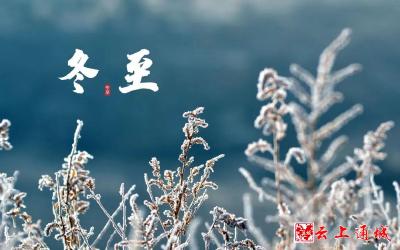 今日冬至｜冬已至，春不远