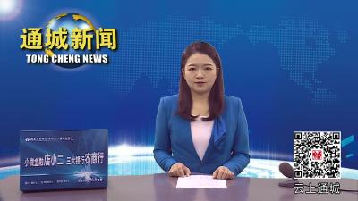通城：楼宇党建 释放促发展的“红色能量”