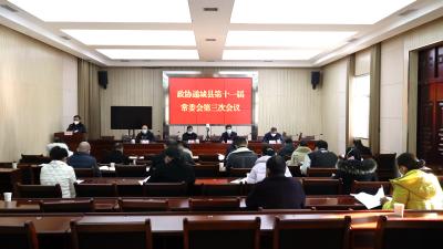 政协通城县第十一届委员会常务委员会第三次会议召开