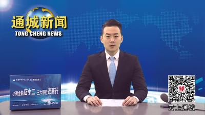 视频-刘中英检查安全生产工作时要求：严格安全监管 强化责任落实 扎实做好安全生产工作