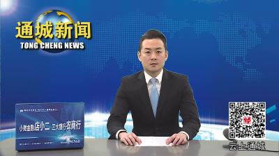 视频-省、市总工会调研督导组来通城调研 