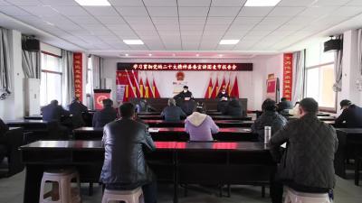 视频-杨修伟到麦市镇宣讲党的二十大精神