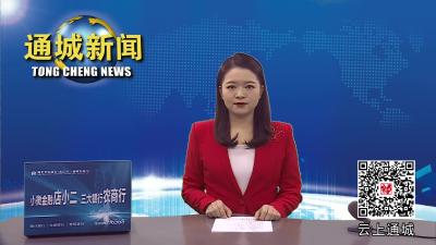 视频-涂远超来通城调研卫生健康和定点帮扶工作