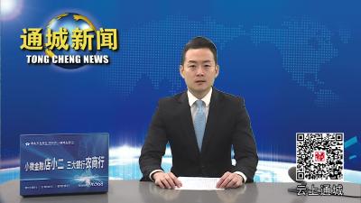 视频-通城县十五届县委常委会第37次会议召开 