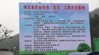 视频-省农科院来通城开展科技服务与中医药产学研深度对接 