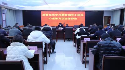 视频-通城县委党史学习教育领导小组办公室第九次全体工作会议召开