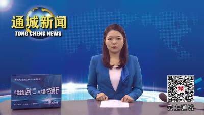 通城集中收看江泽民同志追悼大会直播