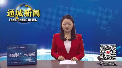 视频-刘复兴来通城调研督办中央环保督察反馈问题整改和省委巡视问题整改工作