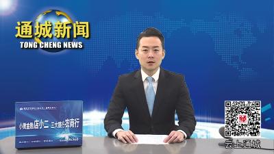 视频-严禁哄抬价格！通城加大防疫药品市场价格巡查力度 