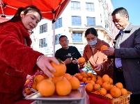 图集｜年货节上年味浓