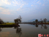 图集｜花田阡陌中乐享春日美好时光