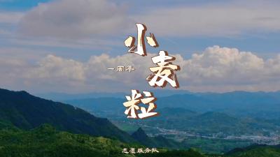 V视｜麦市“小麦粒”一周年啦！