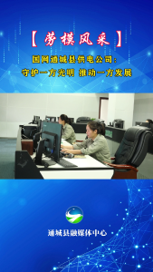 【劳模风采③】国网通城县供电公司：守护一方光明 推动一方发展