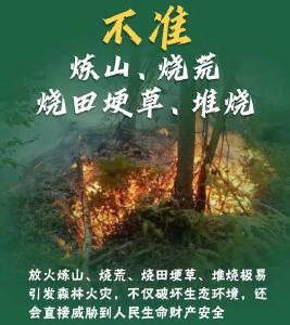 【警钟长鸣】一起学习森林防火小知识 别让森林“火”起来