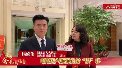V视丨【关注湖北两会】聊新“县”事  省人大代表杨修伟走进湖北日报直播间