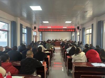 通城县四庄乡：森林防火不松懈 平平安安过春节