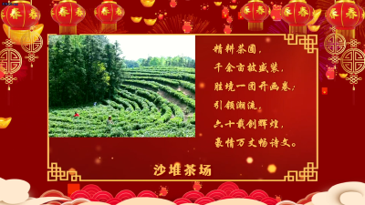 沙堆茶场向大家拜年啦！