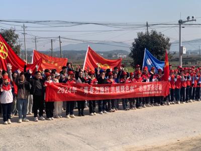 新春志愿行 共植绿色林｜共青团通城县委在沙堆镇开展植树造林活动