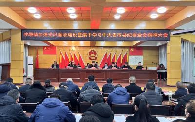 通城县沙堆镇召开加强党风廉政建设暨集中学习中央省市县纪委全会精神大会