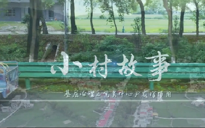 【基层理论宣讲⑤】小村故事——基层治理之党员中心户发挥作用