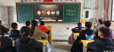 通城县大坪乡杨部小学：健康人生 绿色无毒