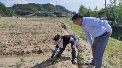 通城县马港镇：田间履职展风采 人大代表促春耕