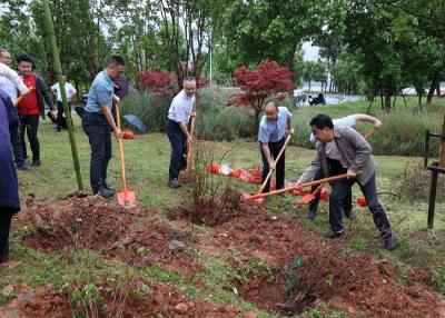 不忘帮扶情 共植友谊林｜通城县麦市镇红石村向中南财经政法大学捐赠映山红