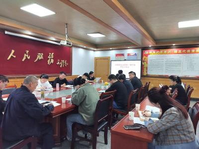 通城县马港镇召开2024年第一期村级项目评审会