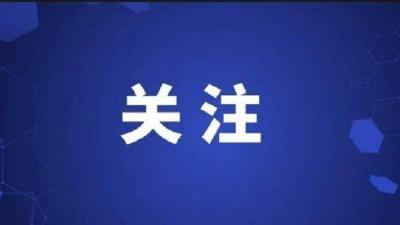 通城县大坪乡：筑牢清明节期间安全屏障