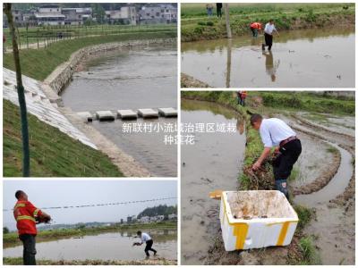 通城县四庄乡：人大代表助力小流域综合治理