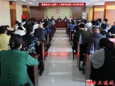 通城县总工会举行第十二届委员会第二次全体会议