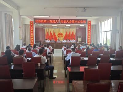 通城县北港镇第十五届人民代表大会第六次会议召开