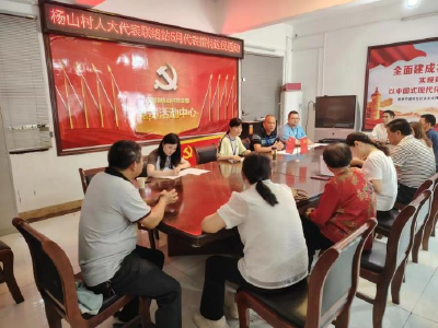 通城县石南镇：选民接待日 搭好连心桥