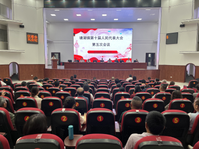 通城县塘湖镇第十届人民代表大会第五次会议召开