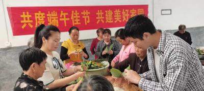 通城县四庄乡：人大代表心系民 共同缔造端午情