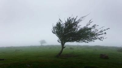 特大暴雨！16级大风！“格美”在福建登陆