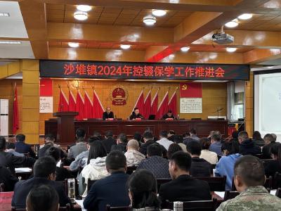 通城县沙堆镇2024年控辍保学工作推进会顺利召开