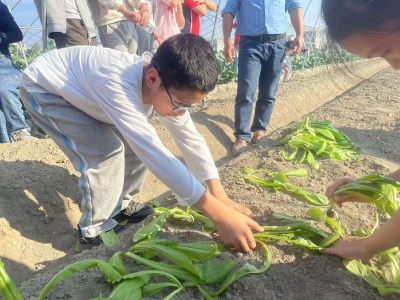 劳动实践伴成长  五育并举润心田丨通城县东门小学开展劳动实践活动