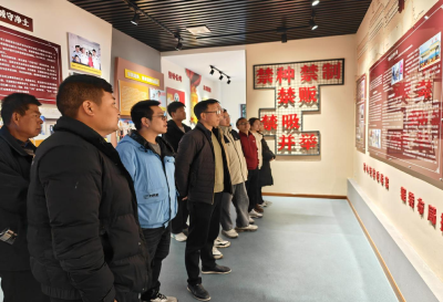 通城县马港镇开展干部毛发毒检与禁毒教育学习活动