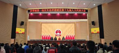 通城县沙堆镇圆满完成县人大代表补选工作