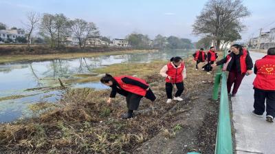 通城县关刀镇八燕村：巡河护卫队共同缔造美丽河湖