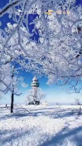 吉致冰雪激情相约|看！冰雪王国里的“森林精灵”