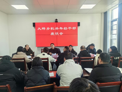通城县大坪乡召开年轻干部座谈会