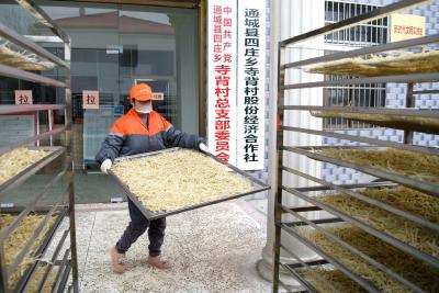 【落实全县三级干部大会精神】通城县四庄乡寺背村：扎实推进乡村振兴工作
