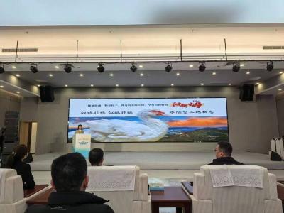 ​从“深闺珍禽”到“国民爆款”——看阳新屯鸟如何走出产业破圈之路