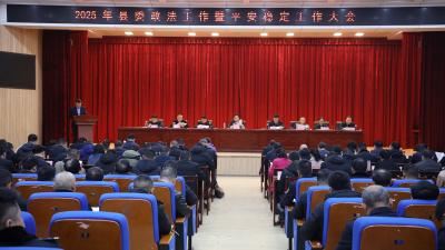 通城县召开2025年县委政法工作暨平安稳定工作大会