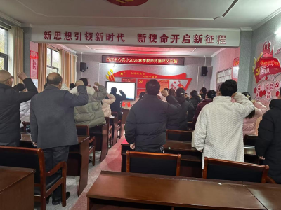 通城县四庄乡中心完小组织开展师德师风宣誓活动